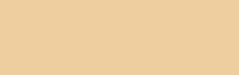 SGM Color Caulk — Champagne Color