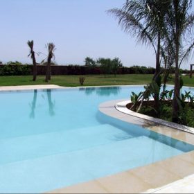 Classic - Procia of Morocco